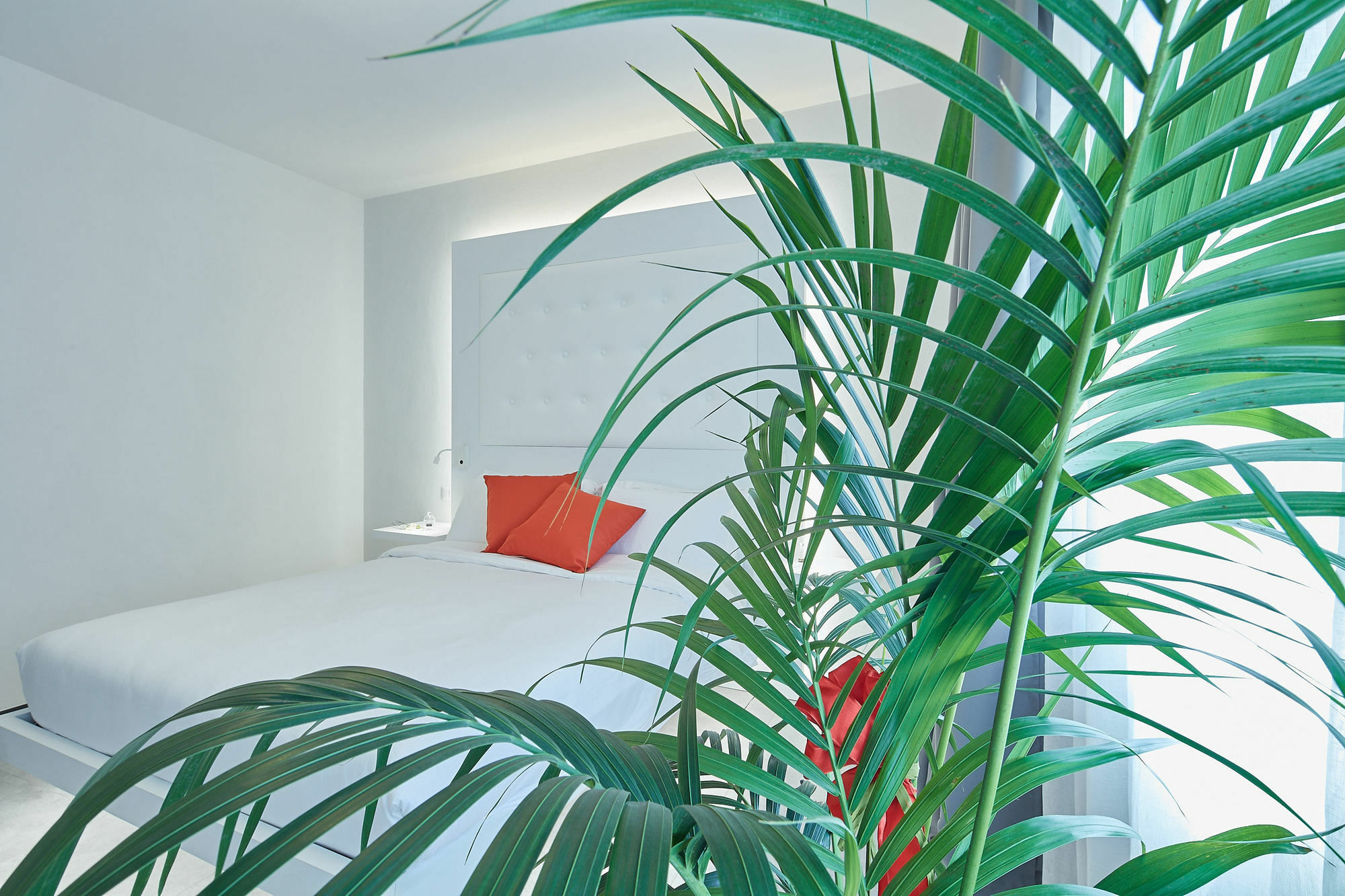 B&B Via Roma 25 Arezzo Kültér fotó